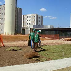 PLANTIO DE GRAMA EM SUA OBRA