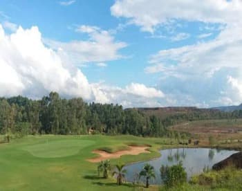 Grama para Campo de Golfe