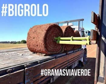 Grama Esmeralda em Big Rolo