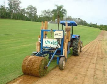 O Melhor Produtor de Grama Bermuda Híbrida