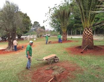 Paisagismo e Jardinagem em Sítios e Fazendas