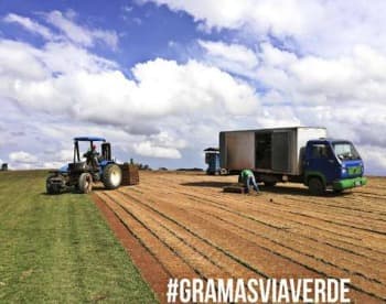 Produtor de grama Esmeralda em São José dos Campos