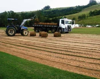 Venda de Grama para Campo de Golfe