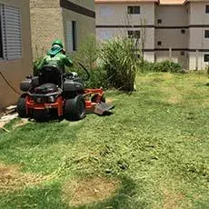 Manutenção de áreas verde. Manutenção de áreas verde.