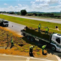 Plantio de grama em sua obra Plantio de grama em sua obra